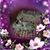 Theresa Morlock's profile image