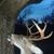 Asa Pendley's profile image