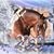 Jennifer Cothron's profile image
