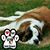 Kelly C Adams's profile image