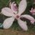 Terri Zickler Bond's profile image