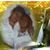 Wilver Alexis Medrano's profile image
