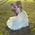 Jay Hensley's profile image