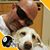 Danny Marshall's profile image