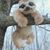 Tim LeMaster's profile image