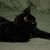 Paula English Miller's profile image