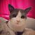 Mandy Ferguson's profile image