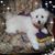 Kathy Ann's profile image