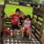 Stephani Alvarado's profile image