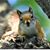 Katie Slaney's profile image