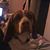 Maureen Allen's profile image