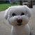 Mandy Meiler's profile image