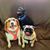 Sue Ahrens Vilardo's profile image
