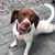 Michelle Lynn Reiff's profile image