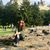 Brooke Allison Veale's profile image