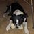 Philip Provenzale's profile image