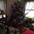 Barb Obermeyer Johnson's profile image