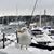 Lindy Dosher's profile image