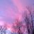 Nanci Carver Arrowood's profile image