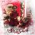 Stephanie Carangi's profile image