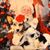 Trisha Diestler's profile image