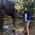 Dina Ann's profile image