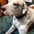 CStewart Gaddy's profile image