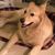 Paula Boegner's profile image