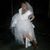 Mary F Cowles's profile image