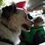 Marcella Cowen's profile image