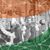 Saurabh Mehta's profile image
