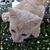 Liz Barringer's profile image