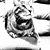 Polly Rovins's profile image