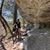 Sandra van den Bosse's profile image