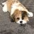 Nita Cobb's profile image
