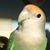 Mathilda Friskes's profile image