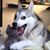 Gabriel Olivier's profile image