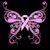 Liz Maruggio's profile image
