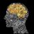 Anthony Collin's profile image
