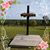 Donna L Tankersley's profile image
