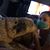 Genn Padin's profile image