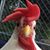 Wendy Aldrich's profile image