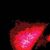 Garcia Luis's profile image