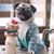 Joline Pixler's profile image