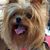 Gloria Jean Flora-Watson's profile image