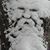 Wil Eitel's profile image