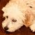 Sandra Kuhn Saunders's profile image