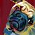 Marylu Cougear's profile image