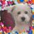 Analia Oddone's profile image
