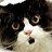Dorcas Palmby's profile image